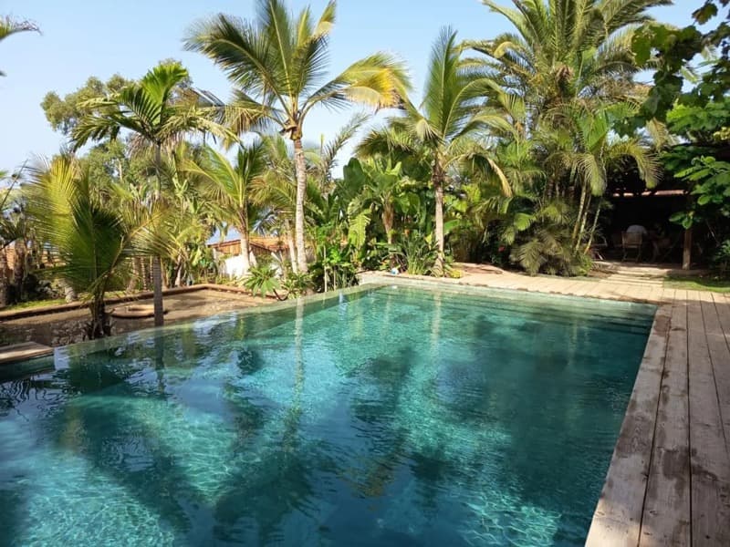Pool surrounded by palms
