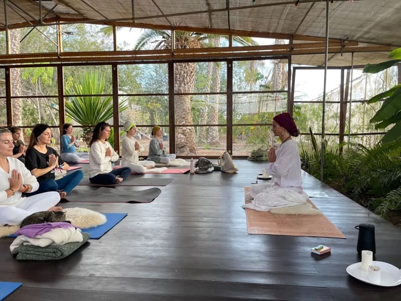 Movement and meditation